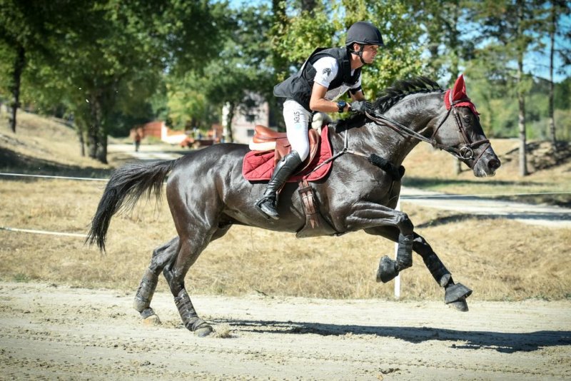 Victor LEVECQUE, équitation